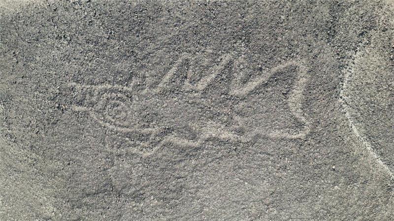 Hunderte weitere Scharrbilder im peruanischen Nazca entdeckt Eine 22 Meter lange reliefartige Geoglyphe, die nach Forscherangaben einen Wal darstellt, wurde im Süden Perus entdeckt.