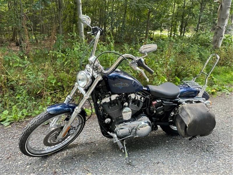 Eine 65-jährige Schwedin verunfallte mit ihrer Harley-Davidson auf der L 95 aus Richtung Stiege in Richtung Allrode. Foto: Polizeirevier Harz
