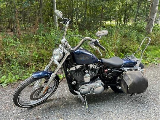 Eine 65-jährige Schwedin verunfallte mit ihrer Harley-Davidson auf der L 95 aus Richtung Stiege in Richtung Allrode. Foto: Polizeirevier Harz