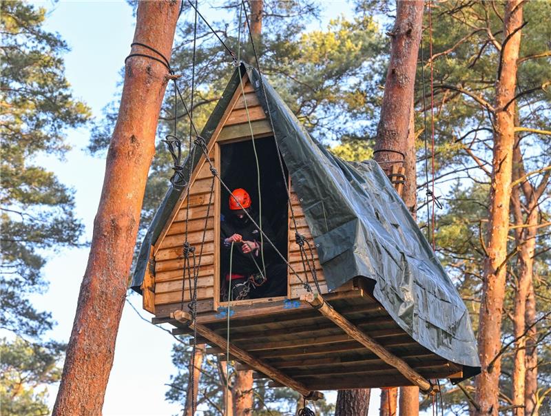 Protest gegen Tesla wird größer: Aktivisten auf Baumhäusern Eine Aktivist der Initiative «Tesla stoppen» sitzt in einem Baumhaus in einem Kiefernwald nahe der Tesla-Gigafactory in Grünheide.