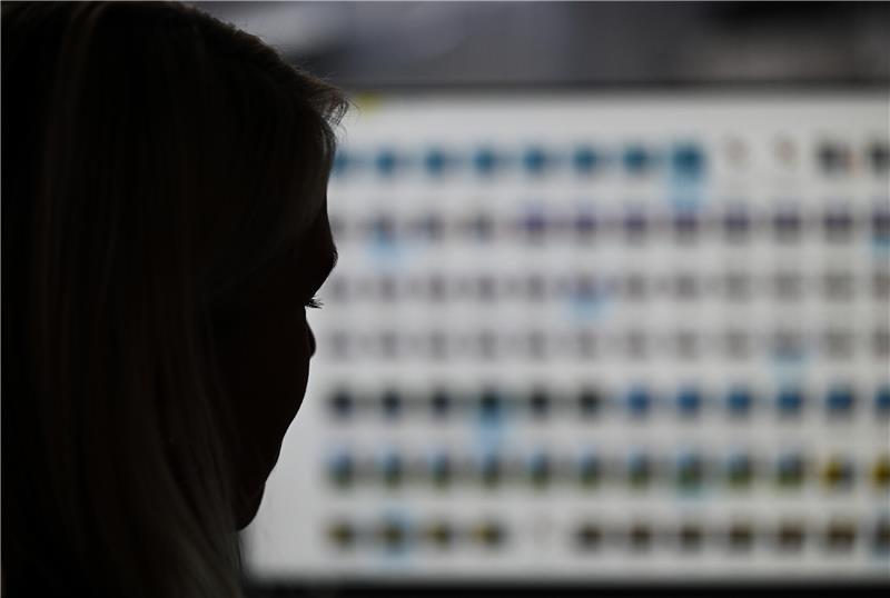 Eine Frau schaut auf einen Computerbildschirm.