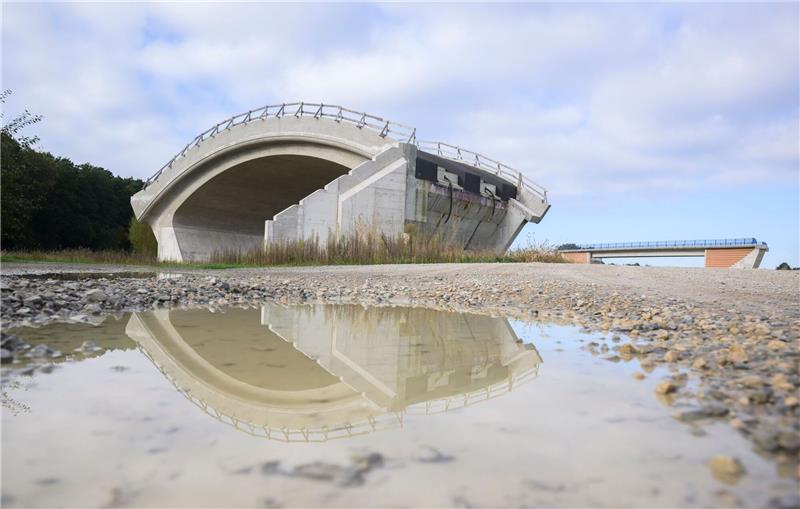 Eine Brücke (hinten) und eine spezielle Fledermausbrücke stehen einem Feld in Celle. Der Bund der Steuerzahler kritisiert in seinem Schwarzbuch die Verschwendung von Steuergeldern.