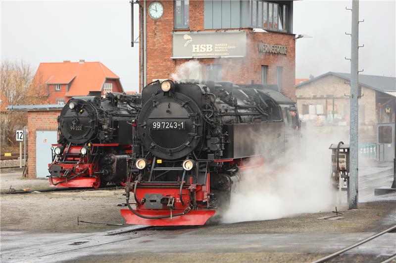 9-Euro-Ticket: Für wen es sich lohnt Eine Dampflok der Harzer Schmalspurbahn. Auch dort soll das 9-Euro-Ticket gelten - mit Ausnahme der Brockenbahn. Foto: dpa