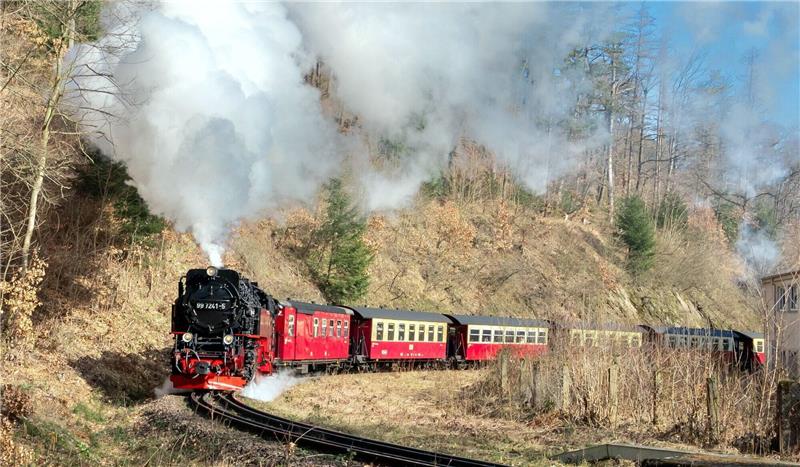 Eine Dampflok der Harzer Schmalspurbahnen. Foto: HSB