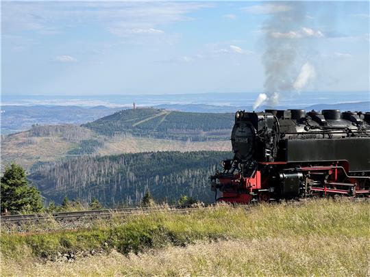 Eine Dampflok der Harzer Schmalspurbahnen fährt mit Blick auf den Wurmberg auf den Brocken. Nach Wunsch der Braunlager sollen die Züge künftig auch den Fuß des Wurmbergs im Bereich des Großparkplatzes Eisstadion anfahren.  Archivfoto: Eggers
