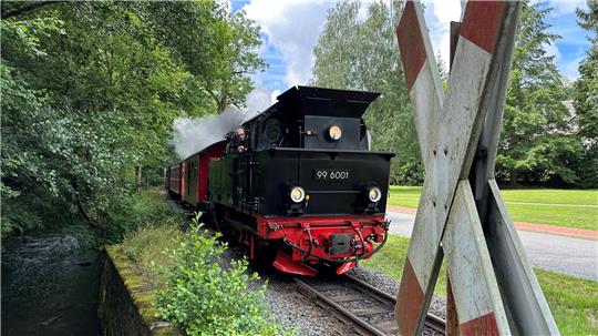 Eine Dampflok fährt bei Alexisbad durchs Selketal.