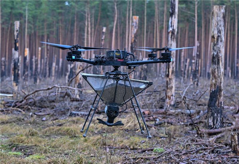 Neuer Wald aus der Luft? Drohne wirft Baumsamen ab Eine Drohne trägt einen Behälter mit Saatgut, das als Pellets präpariert worden ist.