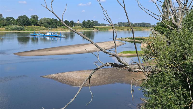 Eine Fähre quert die Elbe in Sachsen-Anhalt. (Archivbild)
