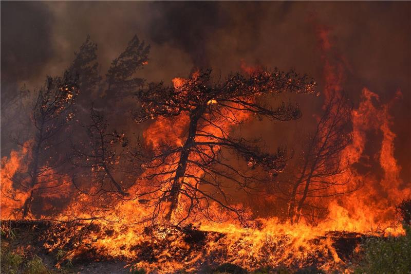 Brände auf Rhodos: Wind erschwert Löscharbeiten Eine Feuerwand: Nahe der Ortschaft Vati im Süden der Insel Rhodos steht ein Wald in Flammen.