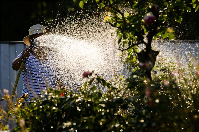 Bewässerung jetzt auch in Region Hannover eingeschränkt Eine Frau gießt mit Wasser aus einer Grundwasserpumpe ein Blumenbeet.