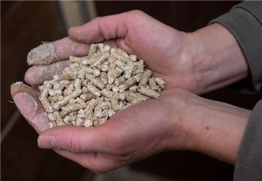 Eine Frau hält Holzpellets in den Händen.