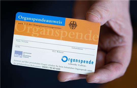 Eine Frau hält einen Organspendeausweis in ihren Händen.