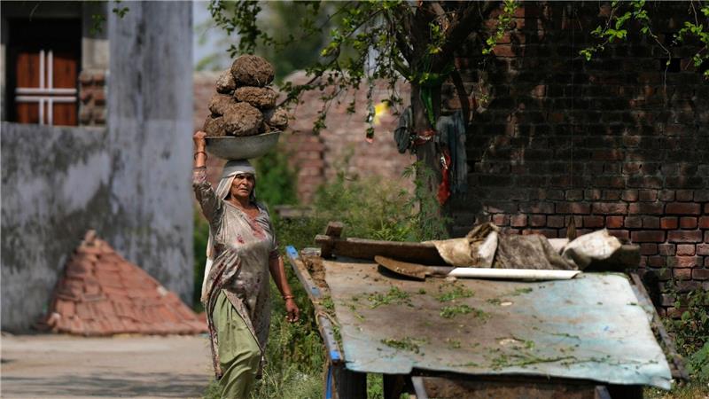 Eine Frau in Indien trägt Kuhmist, der meist als Bau- oder Brennmaterial verwendet wird, in einem Korb auf dem Kopf.