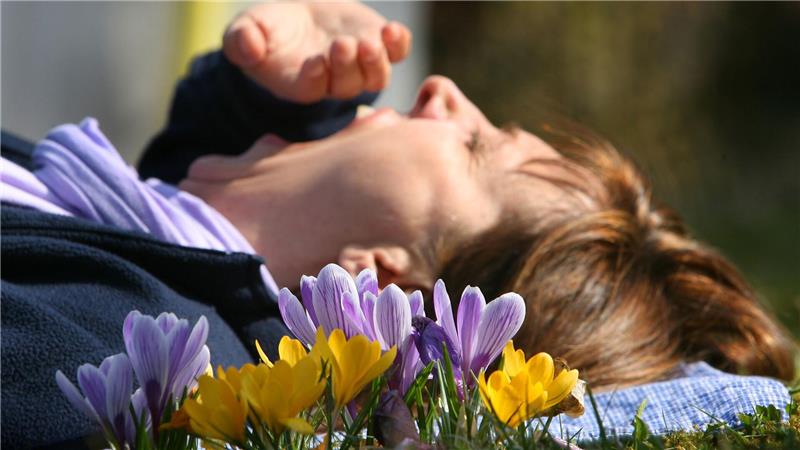Eine Frau liegt auf einer mit Krokussen bewachsenen Wiese und gähnt. (Archivbild)