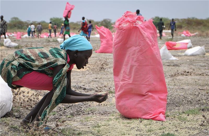 UN nach Aus von Getreideabkommen: Viele könnten sterben Eine Frau sammelt im südsudanesischen Kandak Hirse vom Boden auf, die in Säcken vom Welternährungsprogramm der Vereinten Nationen über der Stadt abgeworfen wurden.