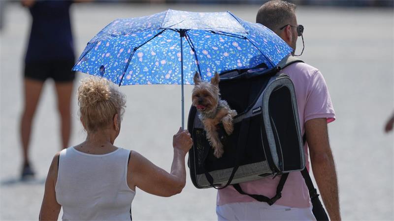 Eine Frau schützt ihren Hund mit einem Regenschirm vor der Sonne, während sie über den Petersplatz spazieren.