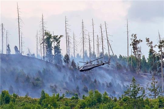 Eine Großschadenslage und ein Brand, der im Gedächtnis bleiben wird: Im Juni brannte der Steinberg. Der Einsatz dauerte eine Woche und war in jeder Hinsicht eine Herausforderung für die Feuerwehr.