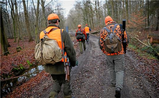 Eine Gruppe Jäger geht zu Beginn einer Drückjagd auf Rehwild über einen Feldweg durch einen Forst. Drückjagden sind nicht unumstritten. Lutz-Michael Renneberg, Vorsitzender der Jägerschaft Goslar, kritisiert sie während der nahrungsarmen Zeit im Januar als „kontraproduktiv und nicht waidgerecht“. Foto: dpa