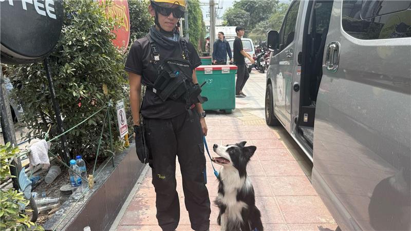 Verzweifelte Suche nach Lebenszeichen in Bangkok Eine Hundeführerin mit ihrer Hündin Blue, die in den Trümmern wahrscheinlich Lebenszeichen entdeckt hatte.