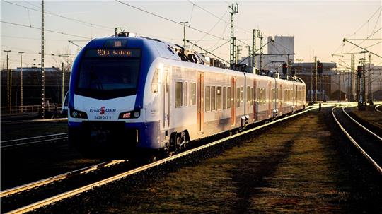 Eine Katze ist mit der Bahn nach Bremen gefahren. (Archivfoto)