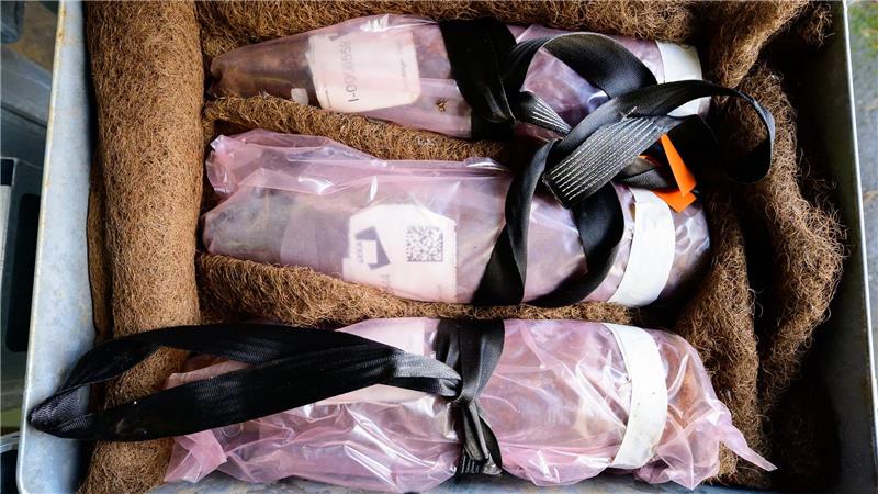 Höchste Sicherheitsstufe bei Vernichtung von Chemiewaffen Eine Kiste mit Giftgasgranaten aus dem Dethlinger Teich.