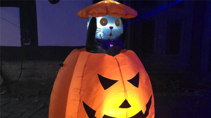 Welche Halloween-Angebote gibt es in Goslar? Eine Kürbis-Fratze hat im Gruselgarten einen Mitbewohner gefunden.