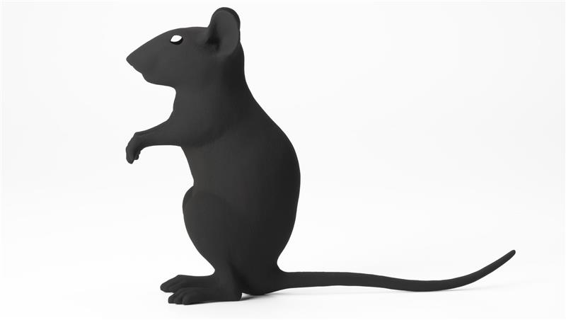 Das Foto zeigt ein Kunstwerk von Katharina Fritsch: eine auf den Hinterbeinen stehende schwarze Maus vor weißem Hintergrund.