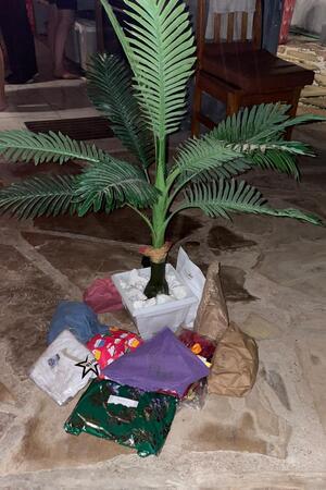 Goslarerin Amalia Saupe trainiert Mädchenteam in Afrika (Teil 2) Palme in weißem Topf auf Boden mit mehreren bunt verpackten Geschenken und braunen Papiertüten im Hintergrund.