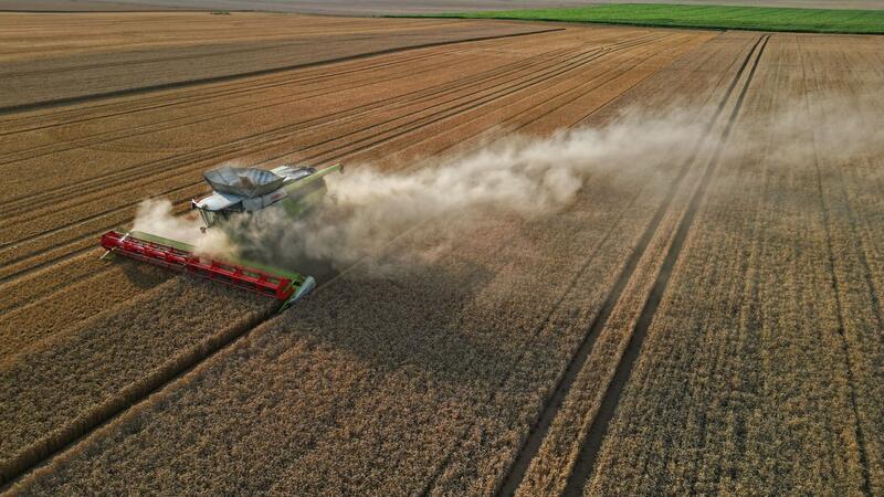 Bauern setzen noch auf sonnige Tage für die Ernte Eine Prognose für die Ernte 2024 in Deutschland will der Verband beim Ernteauftakt am 1. Juli vorstellen.