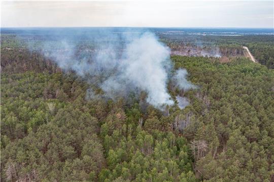 Eine Rauchwolke steht beim Waldbrand im Naturschutzgebiet bei Jüterbog über den Bäumen.