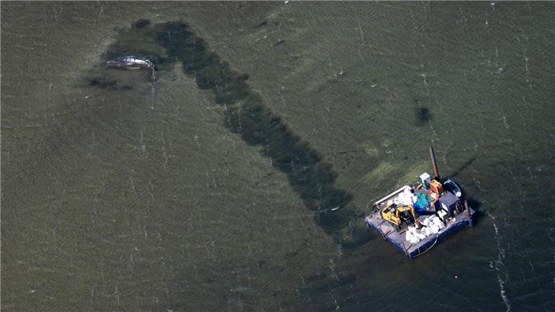 Eine Rinne führt vom Wal in tieferes Gewässer.