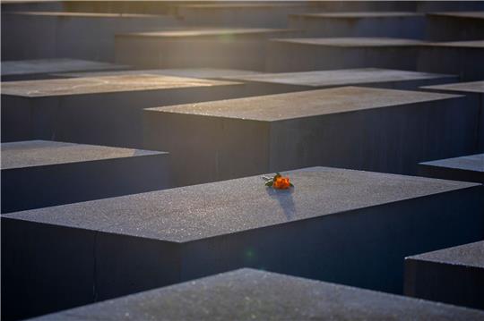 Eine Rose liegt anlässlich des Internationalen Tags des Gedenkens an die Opfer des Holocaust auf einer Stele des Denkmals für die ermordeten Juden Europas.