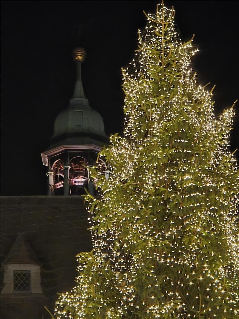 Weihnachtsbaum mit zahlreichen Lichterketten vor einem historischen Gebäude mit Turm bei Nacht.