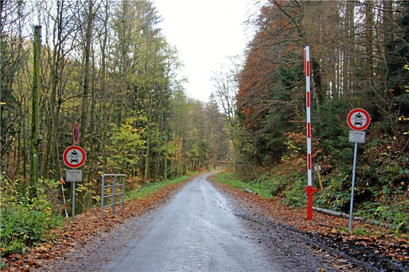 Weg frei für dänische Herberge am Taternbruch Eine Schranke zum Waldweg am Taternbruch soll künftig das unrechtmäßige Parken verhindern. Probleme durch erhöhtes Verkehrsaufkommen, die durch das geplante Hotel entstehen könnten, sieht die Verwaltung nicht. Foto: Weber