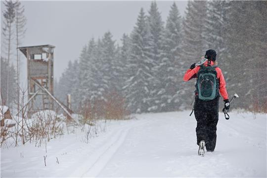 Eine Skifahrerin geht durch den verschneiten Wald in Schierke.