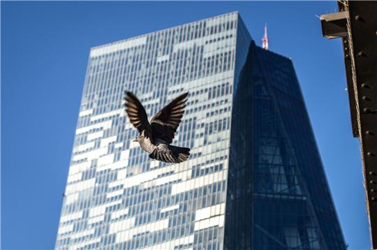 Eine Taube hebt bei strahlendem Sonennschein vor der Zentrale der Europäischen Zentralbank in Frankfurt ab.