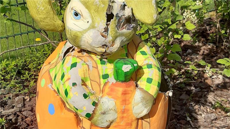 Osterhase wird zum Waschbär-Nest Eine Waschbärin hat sich einen Osterhasen als sicheren Ort für ihre Jungen ausgesucht.