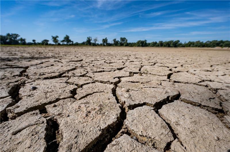 Klimakonferenz in Dubai - Was auf dem Spiel steht Eine ausgetrocknete Sandbank an der Niedrigwasser führenden Donau.