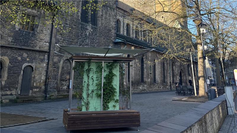 Hitzeschutz: Wo es in Goslar kostenfreies Wasser gibt Eine der „Grünen Bänke“ an der Marktkirche soll zum Verweilen im Schatten einladen.