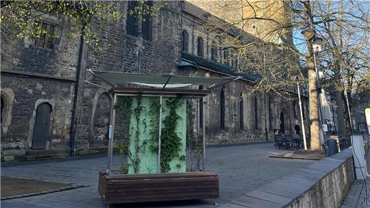 Eine der „Grünen Bänke“ an der Marktkirche soll zum Verweilen im Schatten einladen.