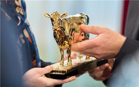 Eine goldene Kuh-Statue wird bei der Verleihung überreicht.