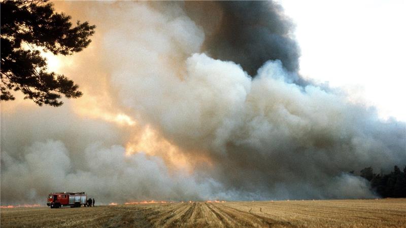 Feuerwehr hat aus Waldbrandkatastrophe in Südheide gelernt Eine große Trockenheit begünstigte die Waldbrände. (Archivbild)