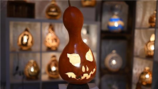 Halloween-Deko und ein Garten voller Flaschenkürbisse Eine handgefertigte Lampe aus einem Flaschenkürbis - mit Halloween-Fratze.
