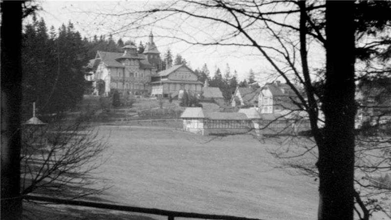 Schwarz-weiße Landschaft mit mehreren Gebäuden und Bäumen im Vordergrund