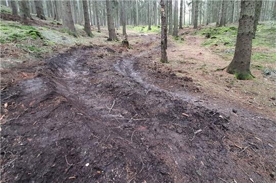 Eine illegal angelegte Spur zum Mountainbikefahren.