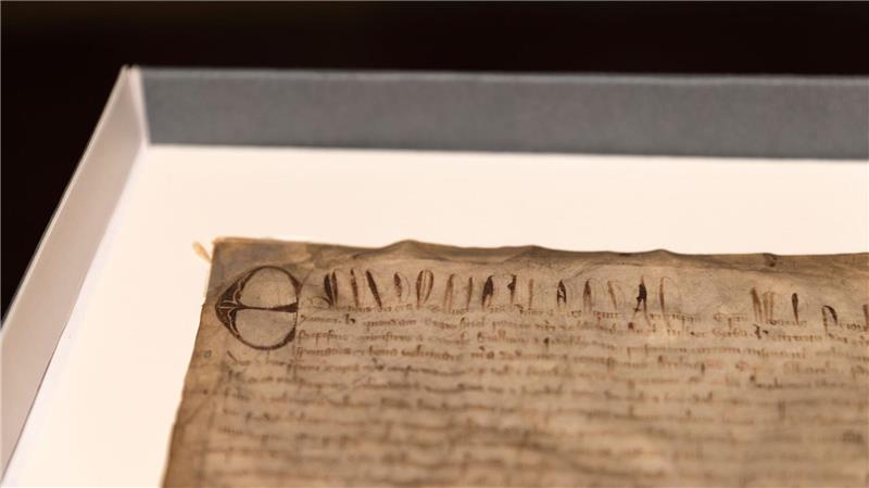 Harvard-Uni: Kopie der Magna Carta entpuppt sich als echt Eine mutmaßliche Kopie der Magna Carta ist nun ein Original