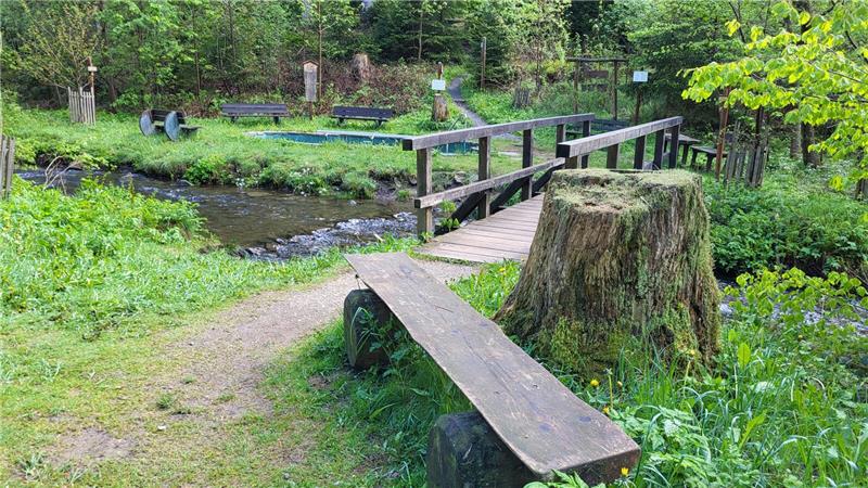 Ein Baumstumpf am Wegesrand. Dahinter ist eine Brücke über einem Fluss.