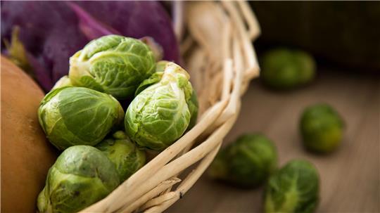 Eine pflanzliche Ernährung kommt Tieren und der Umwelt zugute.