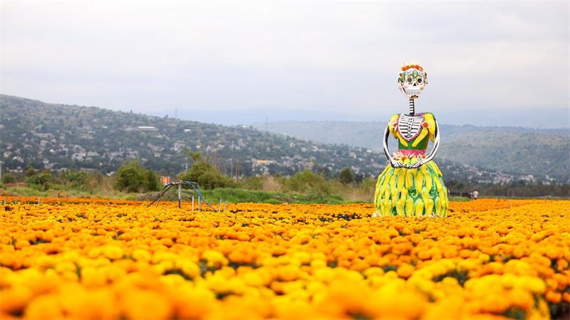 Eine riesige „Catrina“-Figur steht in einem Ringelblumenfeld.