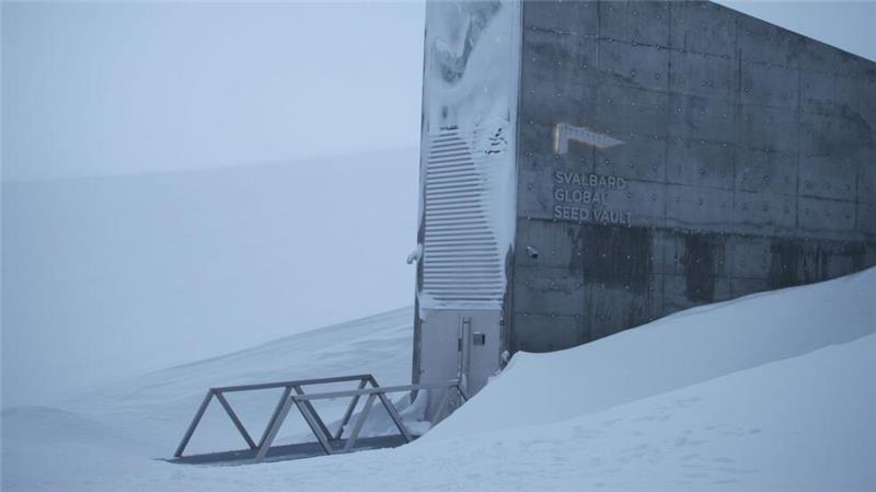 Weltbank für Samen: Spektakulärer Saatgut-Tresor füllt sich Eine schwere Stahltür führt eingebettet in einen spektakulären Betoneingang ins Innere eines schneebedeckten Berges. (Archivbild)